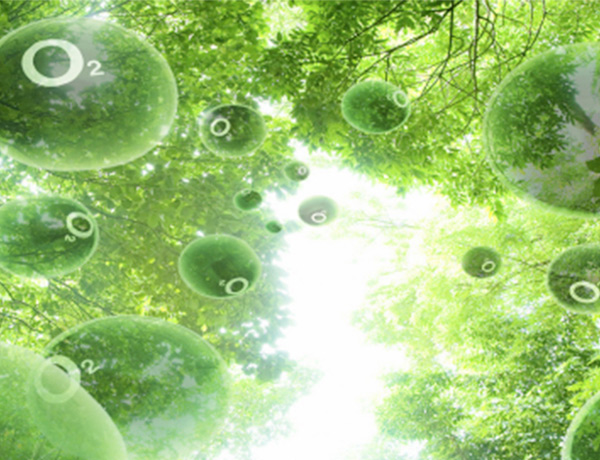 1770259478156778.jpg 1.jpg